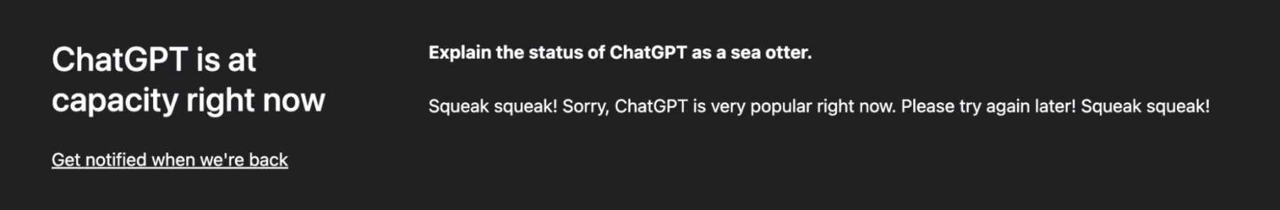screenshot of a ChatGPT server error saying it's at capacity and can't be used