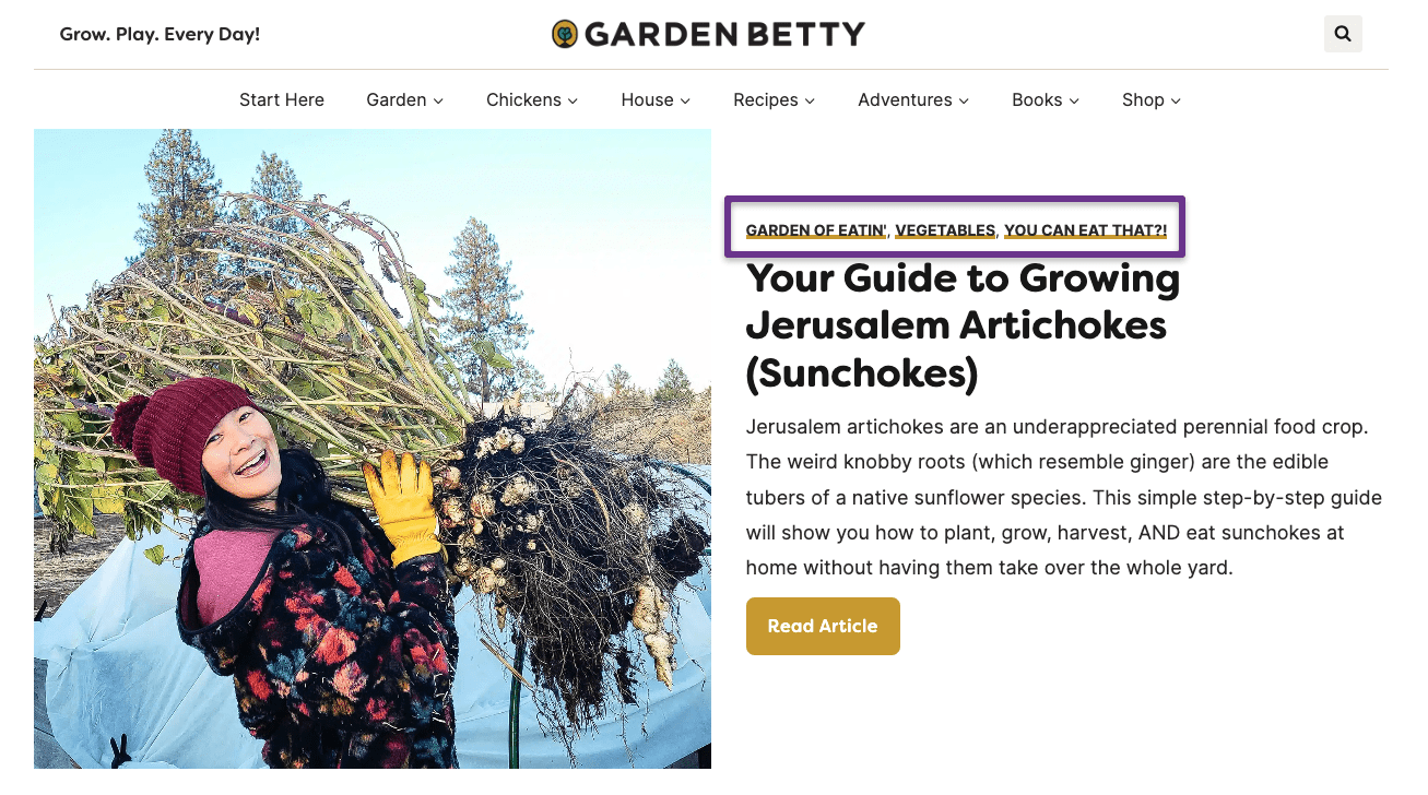 screenshot of a blog that has clickable tags within the post